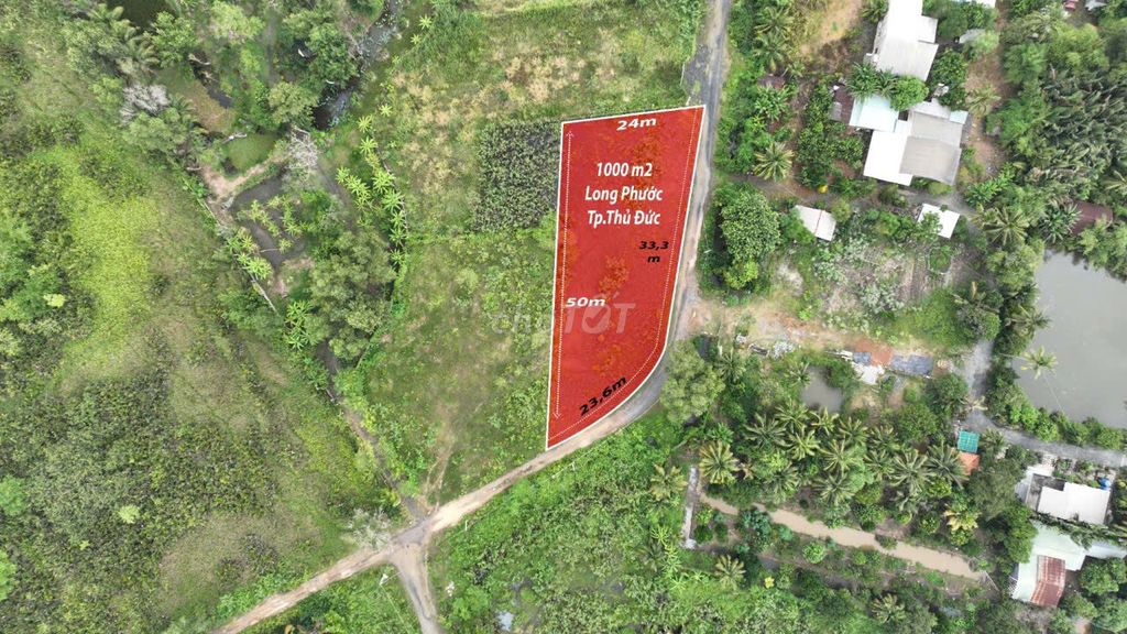 BÁN  NHANH LÔ ĐẤT P.LONG PHƯỚC, TP THỦ ĐỨC 7.5 TỶ/1000M2. Mua bán đất tại Thành phố Thủ Đức Tp Hồ Chí Minh được đăng bởi Sam hình 1