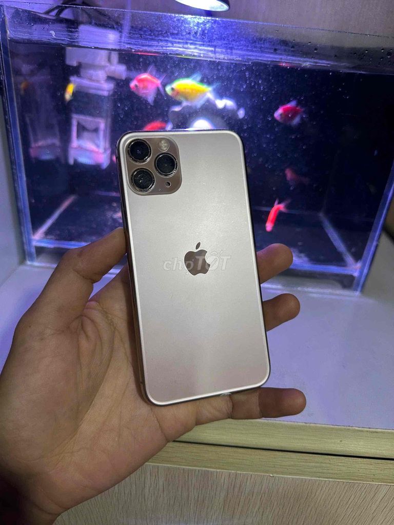 iPhone 11 Pro 64GB Vàng đồng Đã sử dụng. Mua bán Điện thoại tại Thành phố Thủ Đức Tp Hồ Chí Minh được đăng bởi Cửa Hàng Điện Thoại Nhân Nghĩa hình 1
