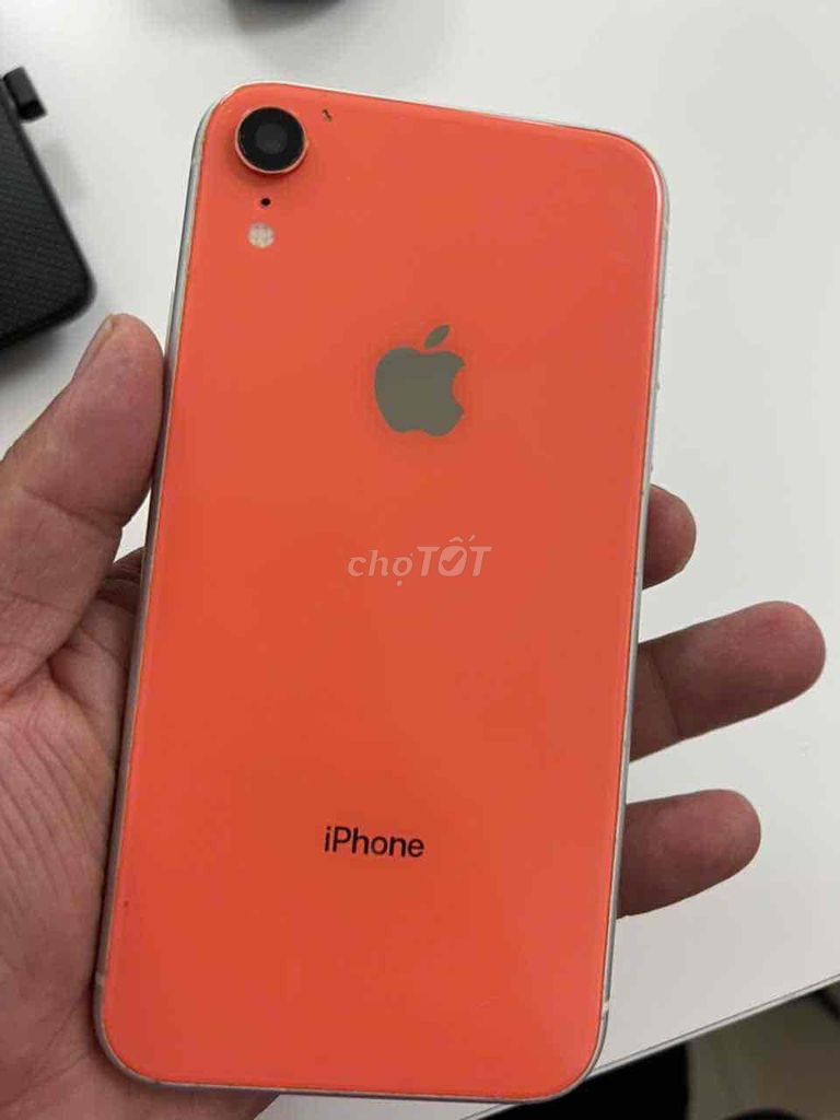 Apple iPhone XR 64GB Cam. Mua bán Điện thoại tại Quận Thanh Khê Đà Nẵng được đăng bởi Cá Voi hình 1