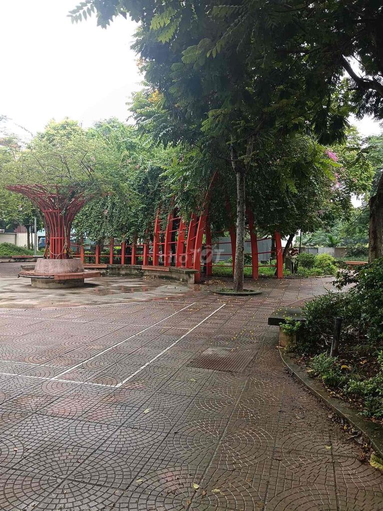 chính chủ cho thuê nhà 33mx3 tầng - ảnh 5