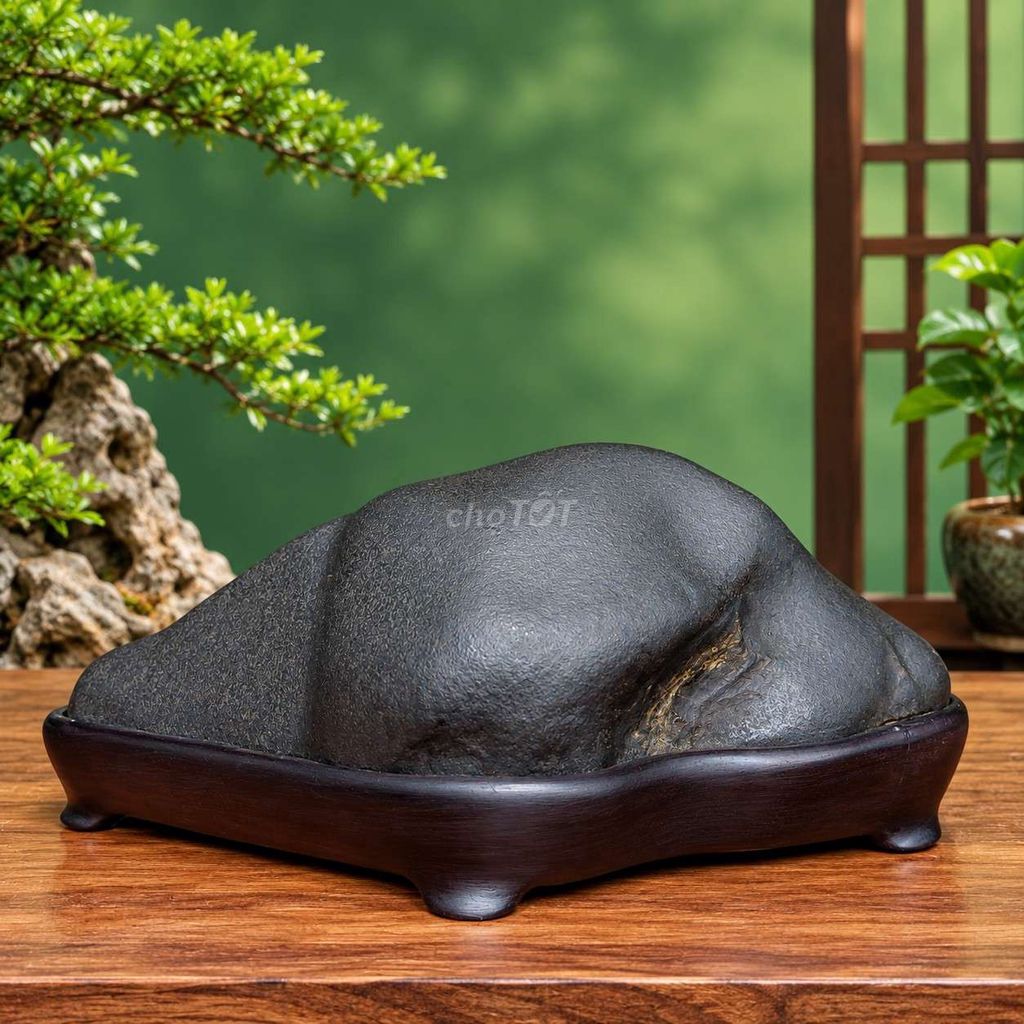 Đá cảnh Huyền Vũ Sơn Đen 7cm