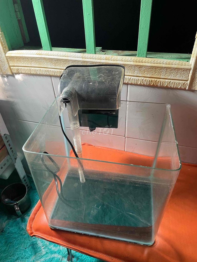 Bể cá cảnh Kính 28x20x28. Mua bán Phụ kiện, Thức ăn, Dịch vụ tại Huyện Nhà Bè Tp Hồ Chí Minh được đăng bởi Ngô Hy hình 1
