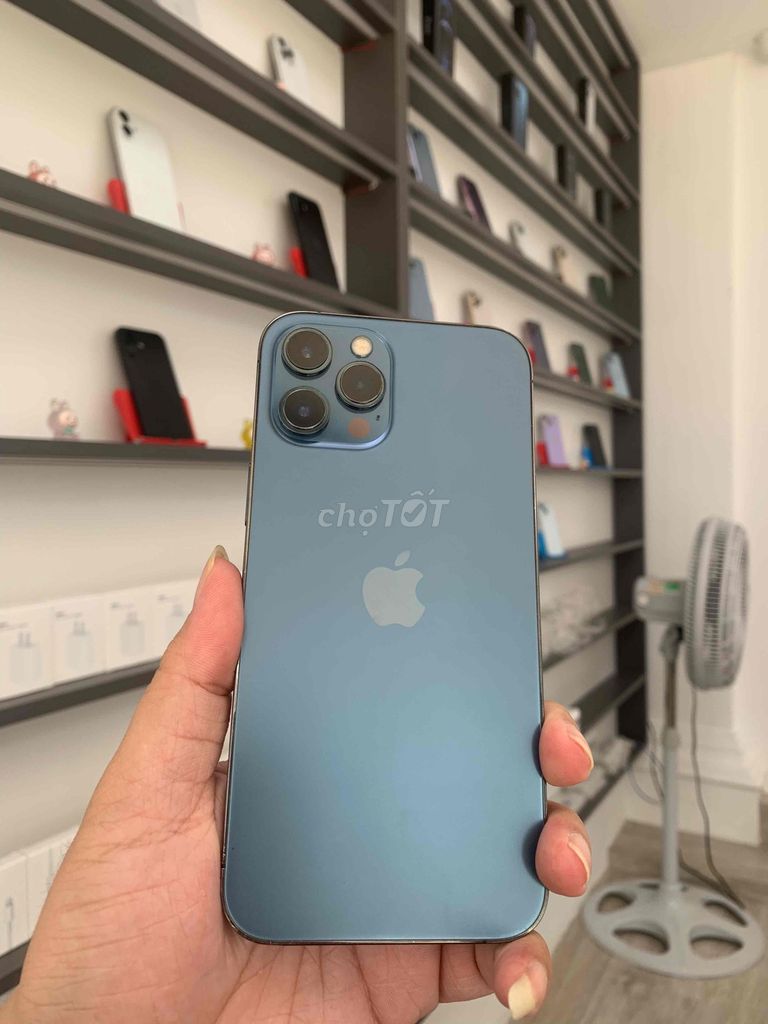Apple iPhone 12 Pro Max Xanh Đã qua sử dụng. Mua bán Điện thoại tại Thành phố Thuận An Bình Dương được đăng bởi Fan Táo hình 1
