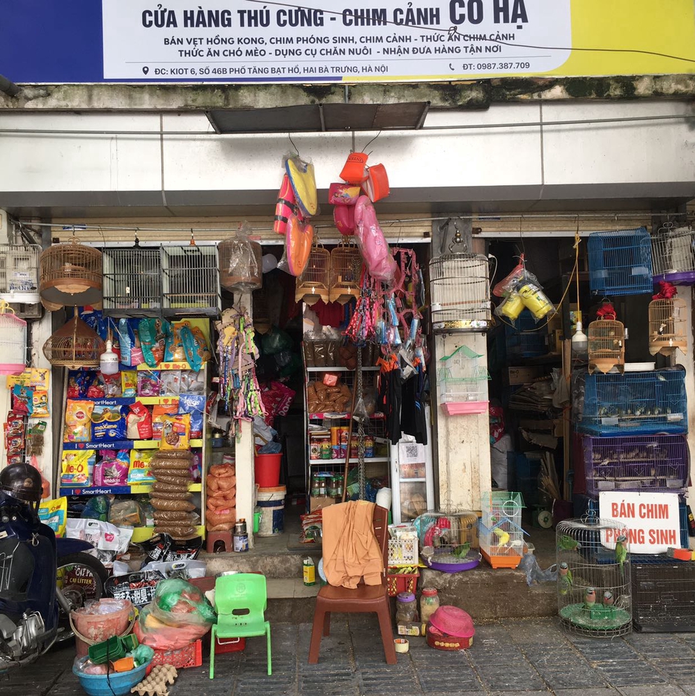 Cửa hàng thú cưng chim cảnh Cô Hạ tại Quận Hai Bà Trưng, Hà Nội hình 1