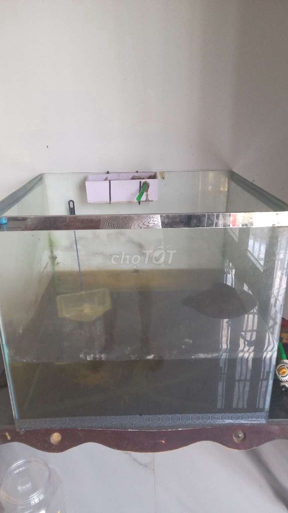 Hồ cá kính 70x70x80 cm đến nhà lấy. Mua bán Thú cưng khác tại Huyện Krông Pắc Đắk Lắk được đăng bởi Hồ Đức Huy hình 1