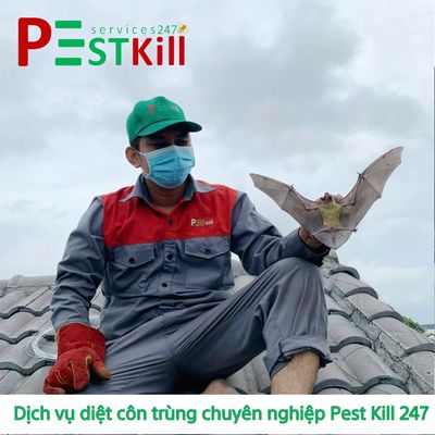 [Thủ Đức] NV Kỹ Thuật Diệt Côn Trùng, Sinh Vật Hại. Việc làm tại Thành phố Thủ Đức Tp Hồ Chí Minh được đăng bởi Công ty TNHH TM DV Kỹ Thuật Hoàng Trang Việt Nam hình 1