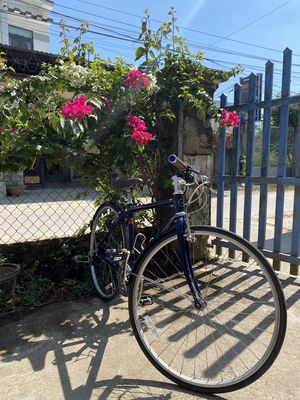 Xe đạp touring Weekend Bikes bãi Nhật