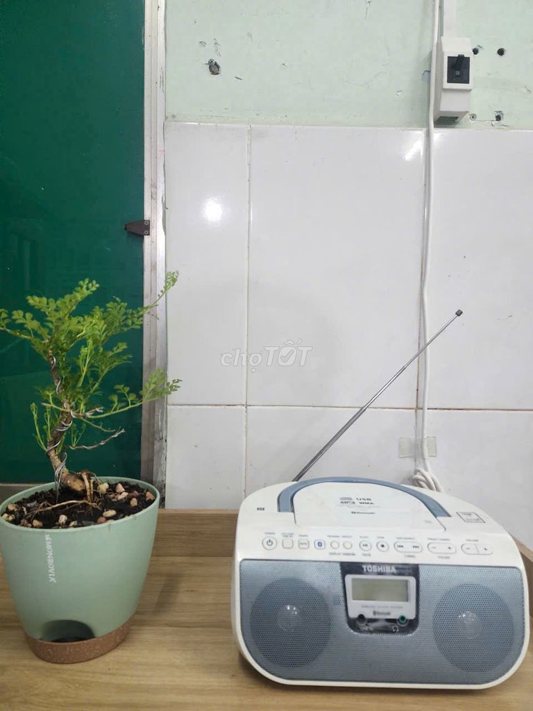 Đài CD/Radio Toshiba TY-CWU11 Trắng. Mua bán Tivi, Âm thanh tại Quận Bình Tân Tp Hồ Chí Minh được đăng bởi Lộc hình 1