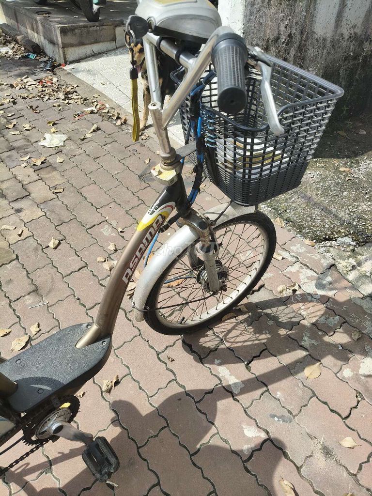 Cần bán xe đạp điện Asama  chính hãng. Mua bán Xe điện tại Thành phố Thủ Dầu Một Bình Dương được đăng bởi Hoàng  hình 3