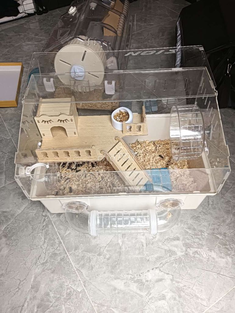 Chuột Hamster Đen trắng, Vàng kem. Mua bán Thú cưng khác tại Quận Nam Từ Liêm Hà Nội được đăng bởi Sáng Hoàng hình 1
