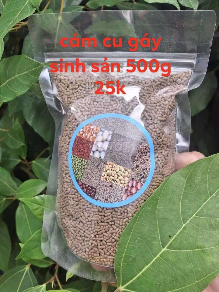 Cám chim cu gáy gói 500g