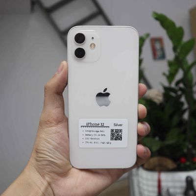 Cần bán iPhone 12 Trắng 64GB 99,99% Bản Quốc Tế. Mua bán Điện thoại tại Thành phố Bắc Ninh Bắc Ninh được đăng bởi Quang Marin