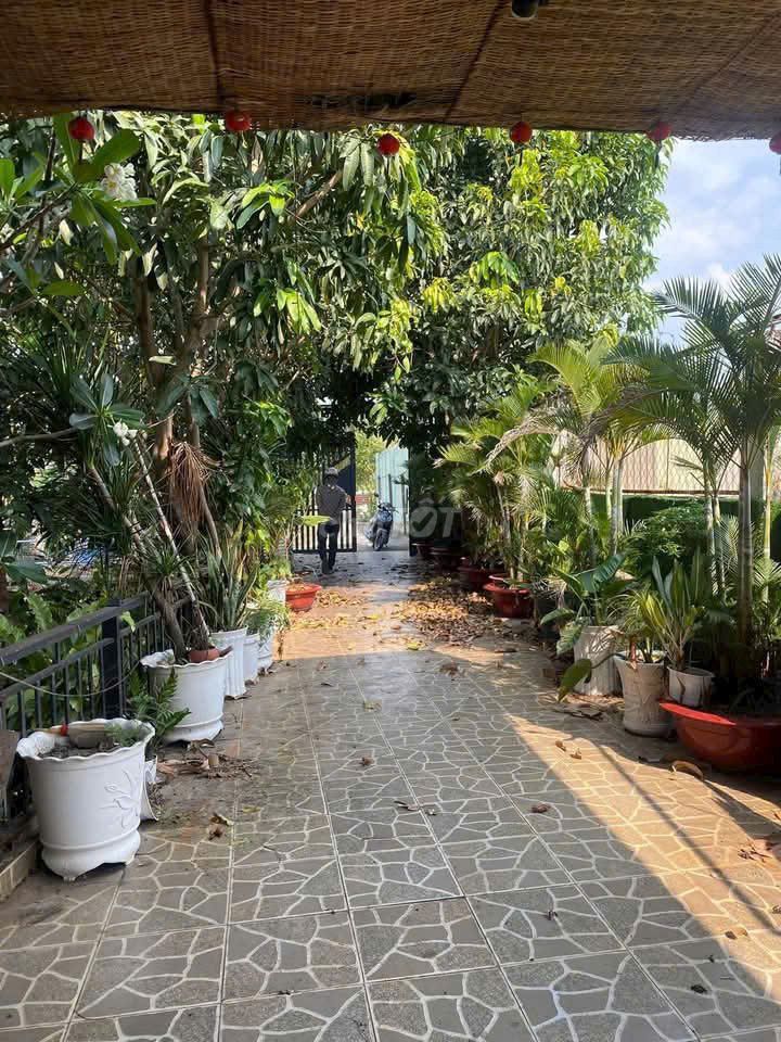 ? Nhà vườn 1000m² Bình Mỹ – Sẵn ở ngay ? vo, Xã Bình Mỹ, Huyện Củ Chi, Tp Hồ Chí Minh Huyện Củ Chi Tp Hồ Chí Minh