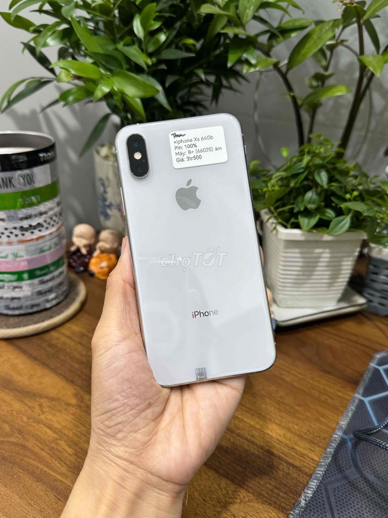 iPhone Xs 64G Quốc tế Trắng P100 Zin Đẹp cận 99. Mua bán Điện thoại tại Huyện Hóc Môn Tp Hồ Chí Minh được đăng bởi Nguyễn Thu hình 1