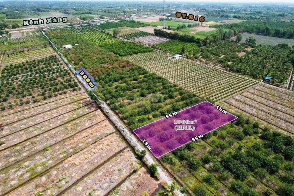 1000m Đất Vườn Trồng Chanh DT Đẹp 18x55m Ở Bến Lức