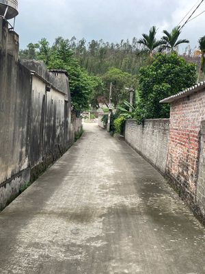 BÁN ĐẤT THỔ CƯ SẴN SỔ GIÁ *** KHU VỰC VĂN ĐỨC-CHÍ LINH. Mua bán đất tại Thành phố Chí Linh Hải Dương được đăng bởi Family
