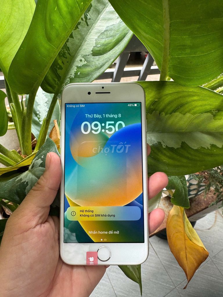 Apple iPhone 8G 64GB Trắng. Mua bán Điện thoại tại Huyện Hóc Môn Tp Hồ Chí Minh được đăng bởi Thảo Đỗ hình 1