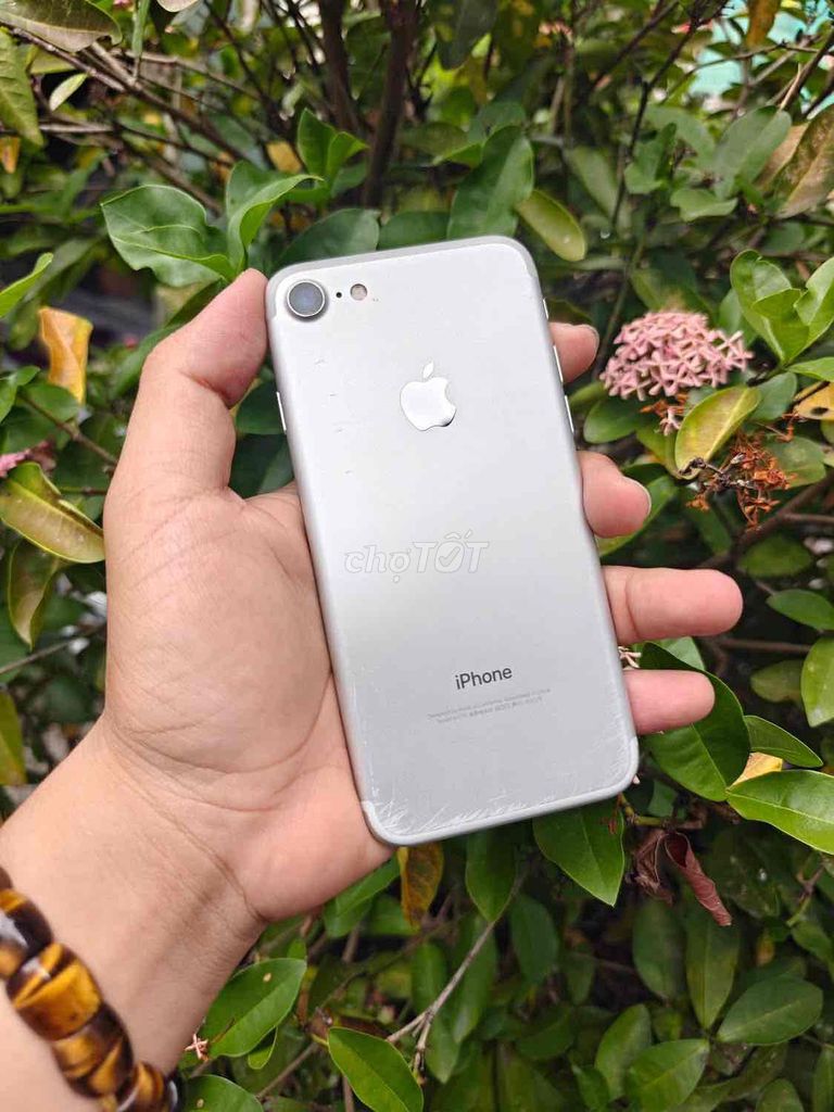 Apple iPhone 7G 32GB Bạc Đã sử dụng. Mua bán Điện thoại tại Huyện Châu Thành Sóc Trăng được đăng bởi Lý Thành Tiến hình 1
