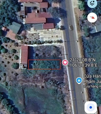 Bán đất mặt QL31 Phượng Sơn, Lục Ngạn - 99m², kinh doanh tốt