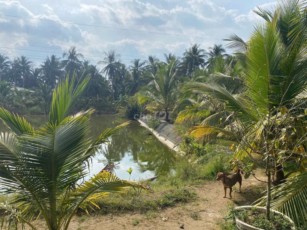 Bán nhà, đất, xưởng 5.500 m2 mặt tiền QL60 - Cách TP. Trà Vinh chỉ 4km