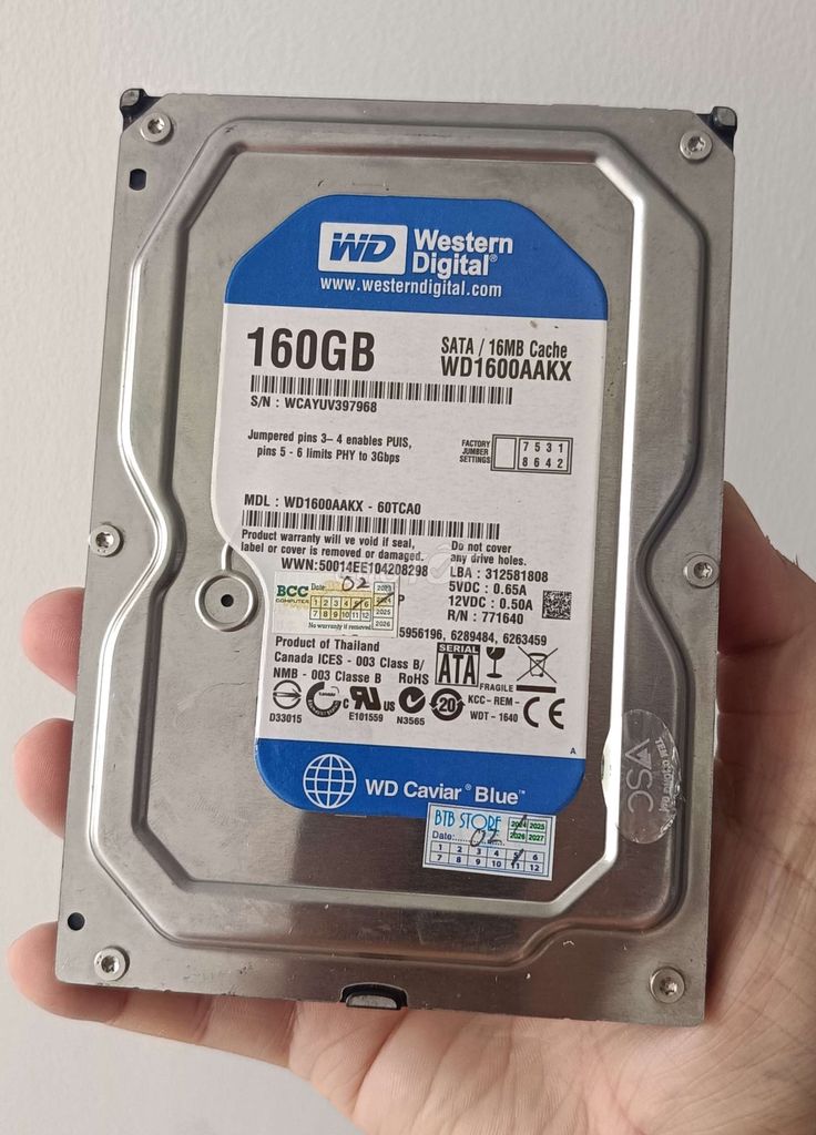 HDD WD 160GB