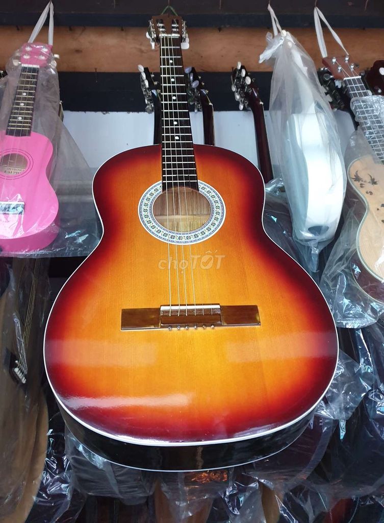 Đàn guitar giá rẻ sinh viên ms:2353