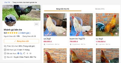Cẩn Thận mua bán. Mua bán Gà tại Thành phố Vị Thanh Hậu Giang được đăng bởi GàViệt