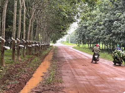 CƠ HỘI ĐẦU TƯ SINH LỜI – ĐẤT 1,4HA TẠI BẮC TÂN UYÊN, BÌNH DƯƠNG. Mua bán đất tại Huyện Bắc Tân Uyên Bình Dương được đăng bởi Lưới Công Trình