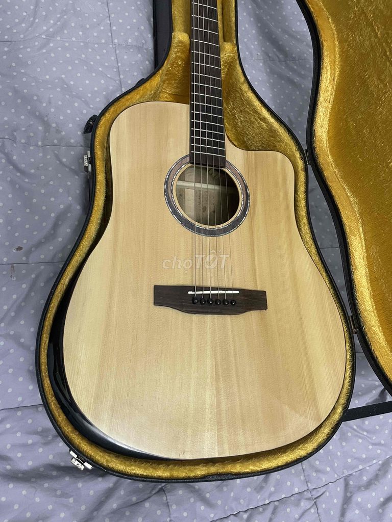 Guitar D16 full gỗ điệp