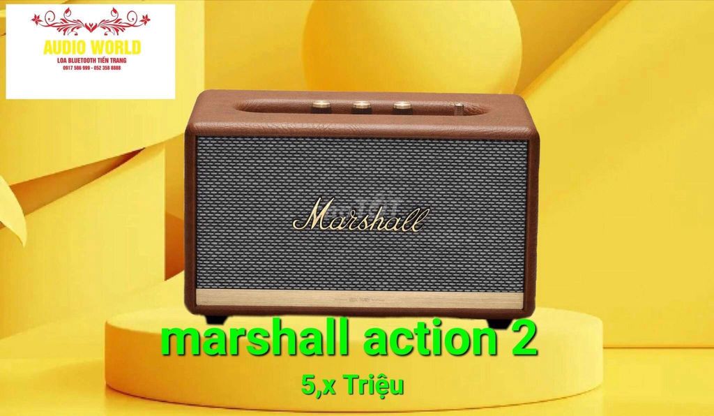 Marshall action 2