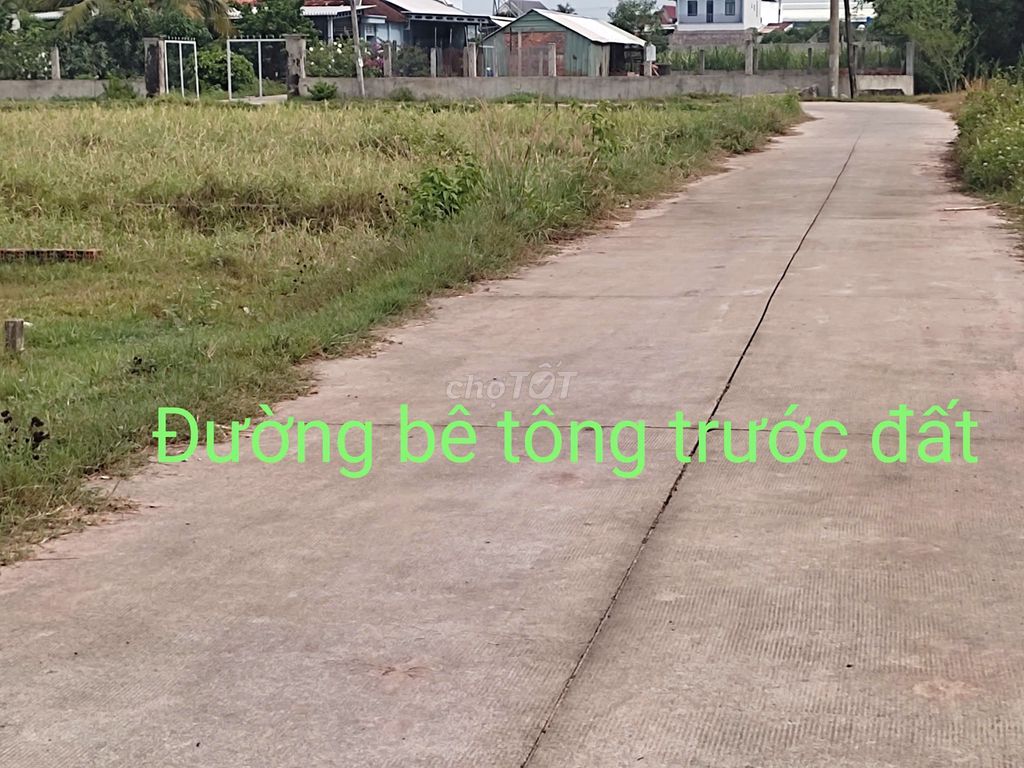 🌸🌿 Bán đất đẹp tại TL9 -Mỹ Hạnh Bắc, Long An chỉ🌸 8 triệu/m2