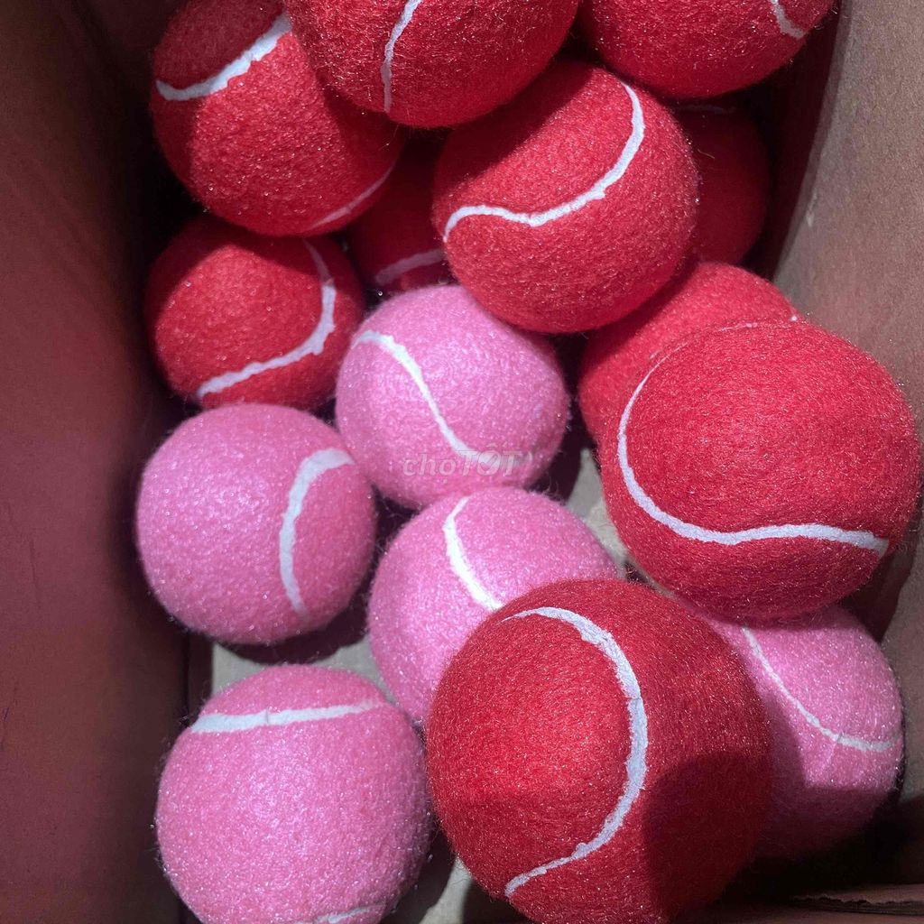 Bóng tennis nỉ Hồng, Đỏ. Mua bán Đồ thể thao, Dã ngoại tại Quận Bình Thạnh Tp Hồ Chí Minh được đăng bởi Thuan An hình 1