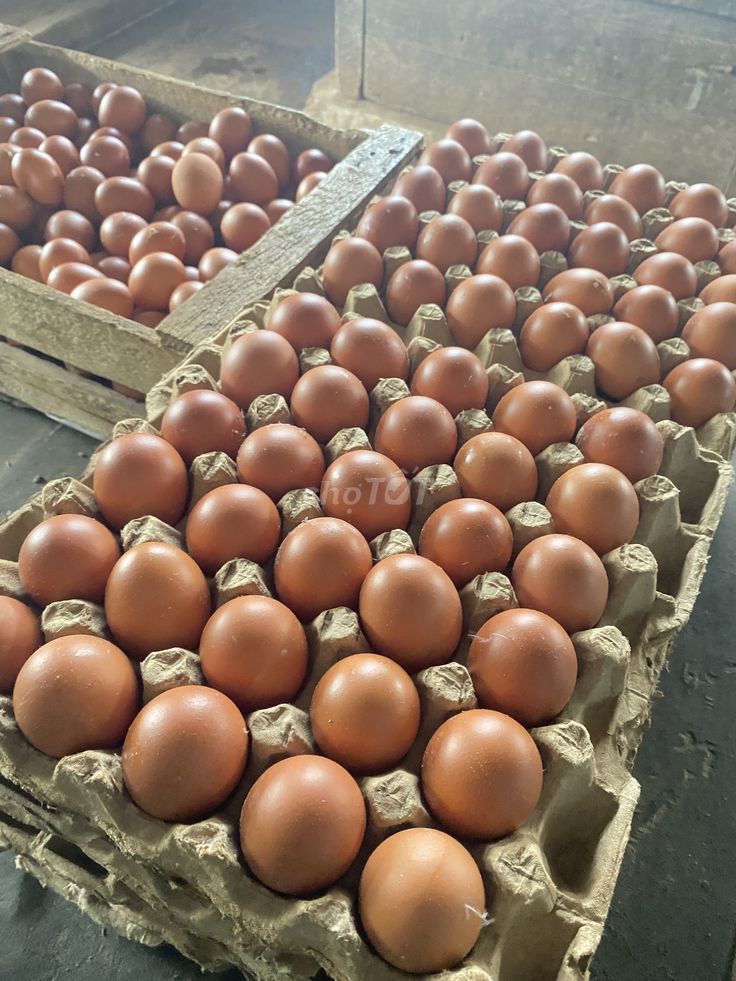 Trứng gà 30 quả Việt Nam. Mua bán Đồ ăn, thực phẩm và các loại khác tại Thị xã Bến Cát Bình Dương được đăng bởi Song Tử hình 1