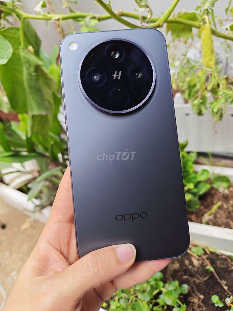 Oppo Find X8s Plus 12/256GB Pin 100. Mua bán Điện thoại tại Quận Gò Vấp Tp Hồ Chí Minh được đăng bởi Nhi hình 1