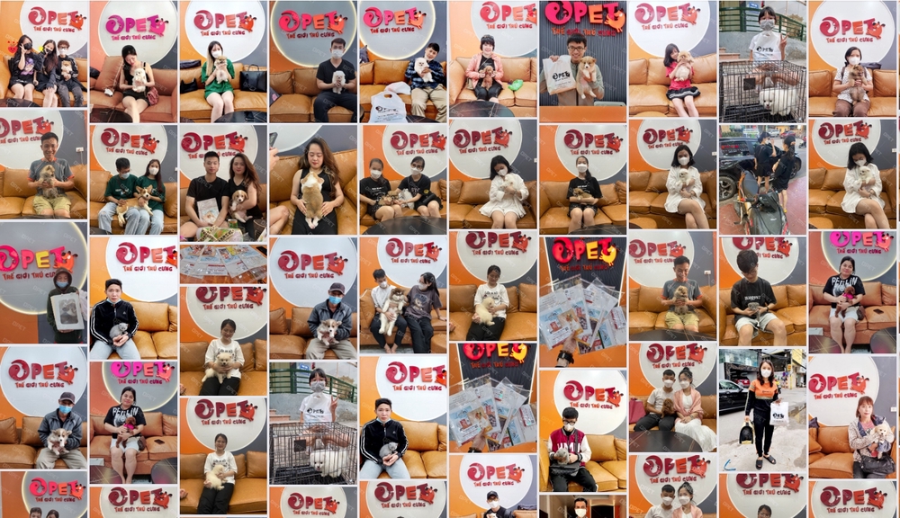 O PET - Animal Shop tại Quận Hoàng Mai, Hà Nội hình 1