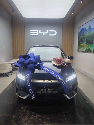 2025 - 27000 km. Mua bán Ô tô tại Quận Bình Tân Tp Hồ Chí Minh được đăng bởi Nguyễn Phong Dinh