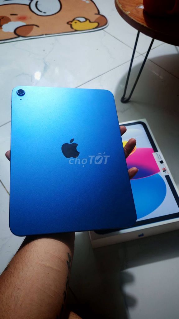 Apple iPad A16 Wifi 128GB Xanh Đã sử dụng. Mua bán Máy tính bảng tại Quận 12 Tp Hồ Chí Minh được đăng bởi Hội Đồ Điện Tử hình 1