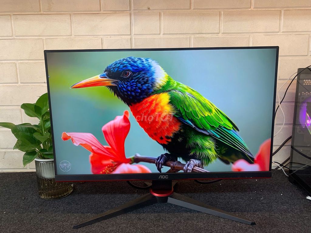 Màn hình AOC 144Hz Chơi game bao mê. Mua bán Phụ kiện (Màn hình, Chuột...) tại Quận Phú Nhuận Tp Hồ Chí Minh được đăng bởi tiến tài 770 nguyễn kiệm p4 quận phú nhuận hình 1