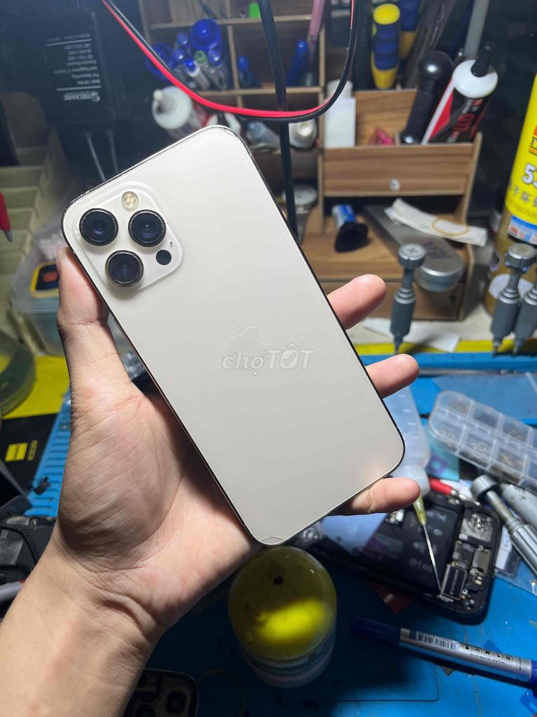 Apple iPhone 12 Pro Max 128GB Vàng. Mua bán Điện thoại tại Huyện Châu Đức Bà Rịa - Vũng Tàu được đăng bởi võ văn thịnh hình 1