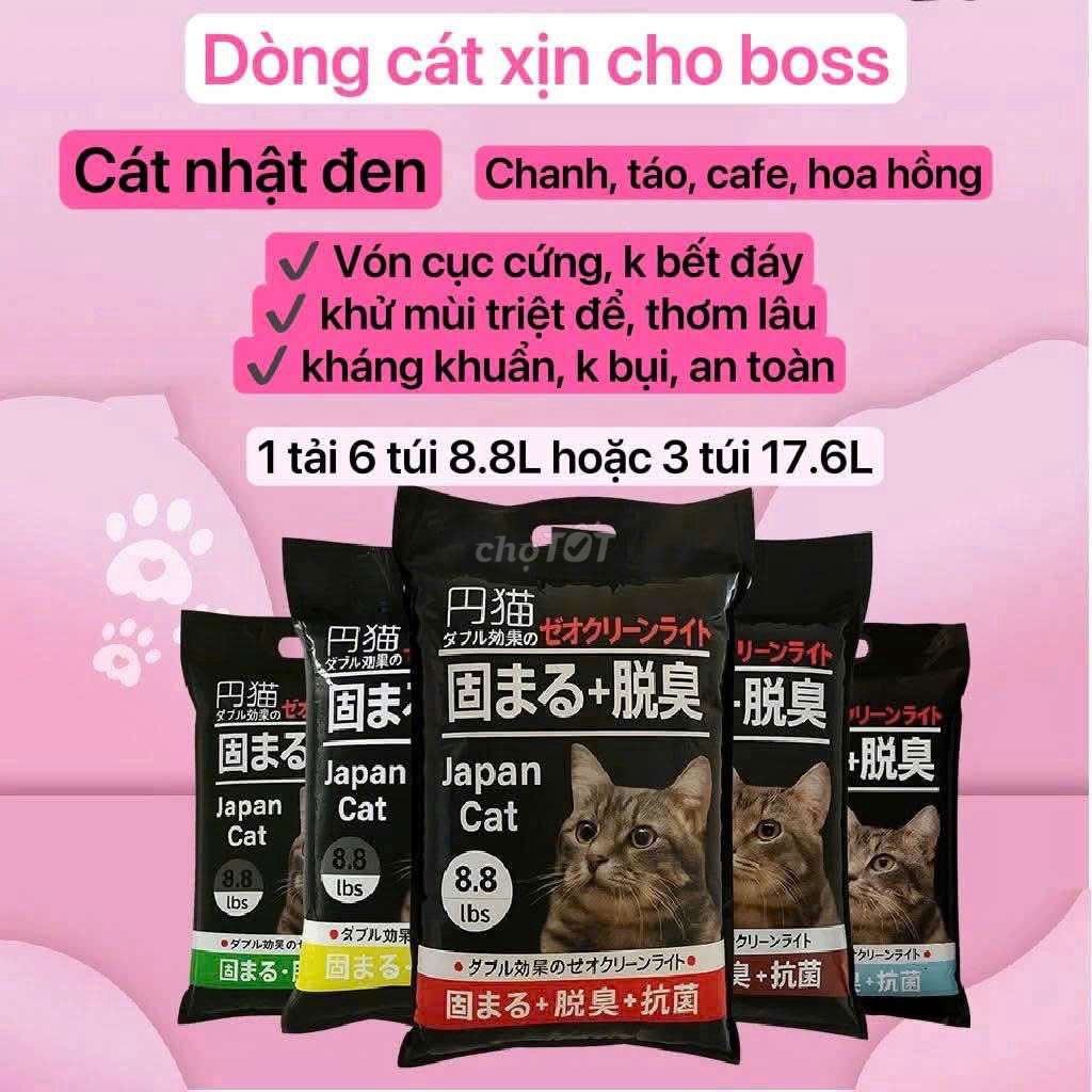 cát vệ sinh vón cứng và thức ăn cho mèo. Mua bán Phụ kiện, Thức ăn, Dịch vụ tại Huyện Thanh Trì Hà Nội được đăng bởi ph hình 1