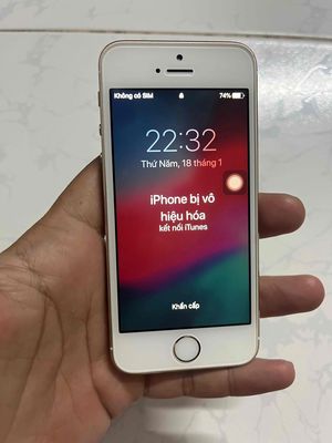 iPhone 5s Vàng gold