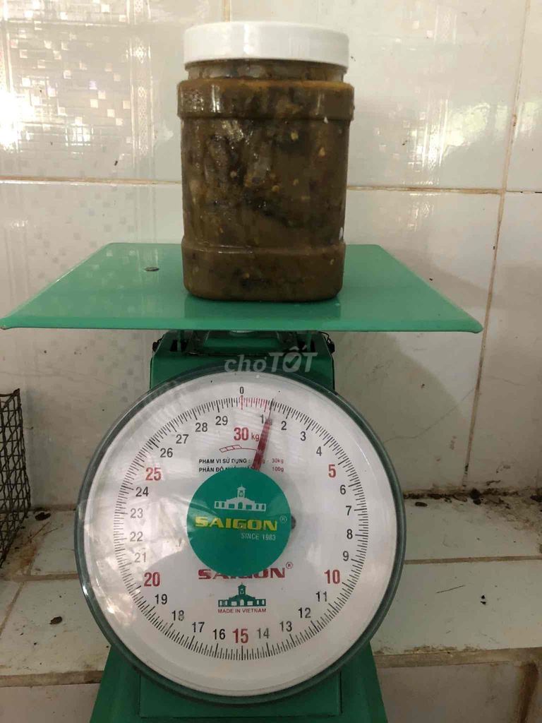 Ba khía trộn sẵn bỏ tủ lạnh ăn dần 1,1-1,3kg 1 hủ. Mua bán Đồ ăn, thực phẩm và các loại khác tại Thành phố Thủ Đức Tp Hồ Chí Minh được đăng bởi Lâm Dỉ hình 2