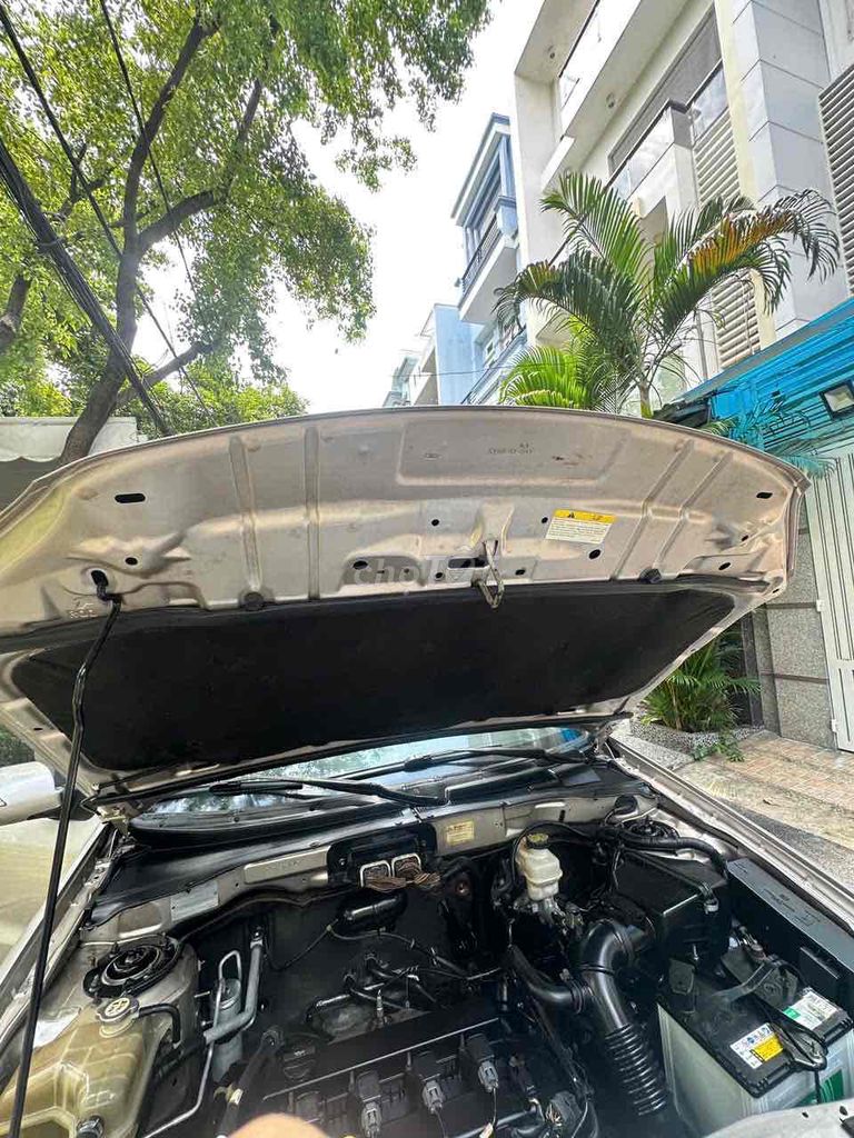 Ảnh số 7
