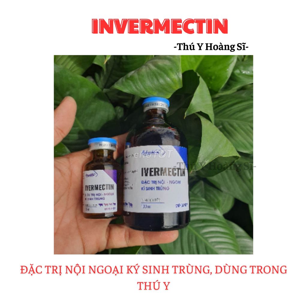 Chai 20ml Invermectin hàm lượng cao 1%