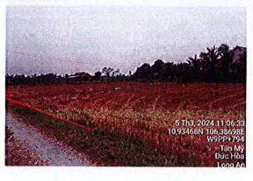 Bán ĐGTS đất tại xã Tân Mỹ, huyện Đức Hòa, tỉnh Long An. Mua bán đất tại Huyện Đức Hòa Long An được đăng bởi Công ty Đấu giá Hợp danh Nam Giang