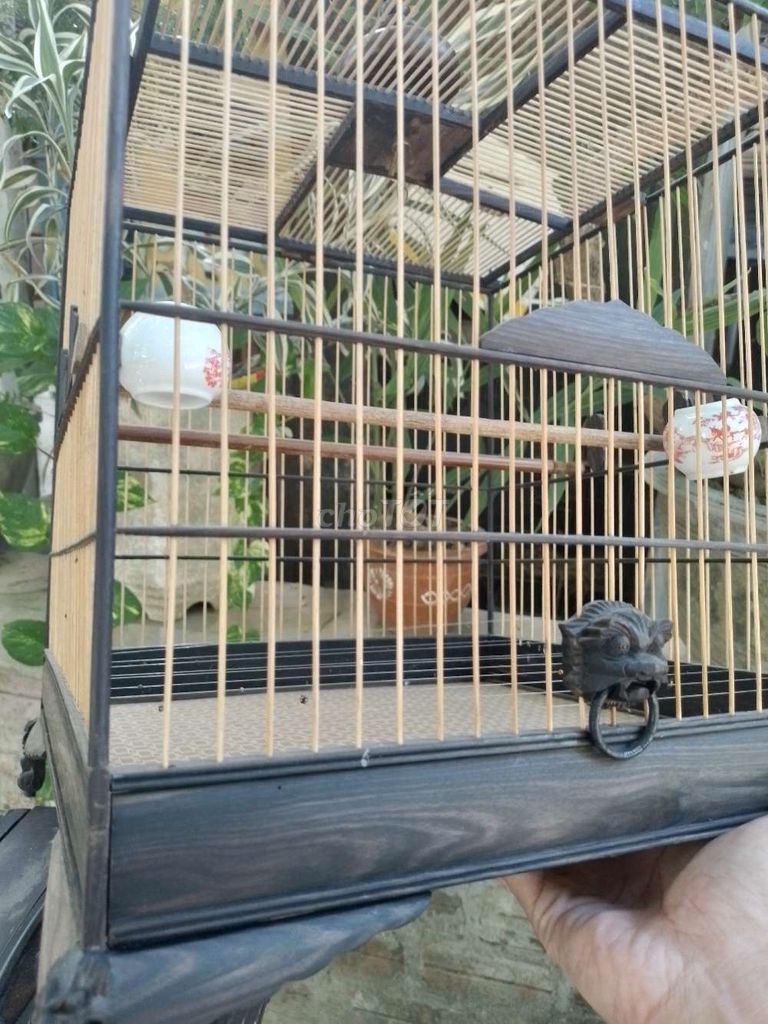 Lồng mun đấu . Mua bán Phụ kiện, Thức ăn, Dịch vụ tại Thành phố Huế Thừa Thiên Huế được đăng bởi Phương Gà Chọi Huế hình 1