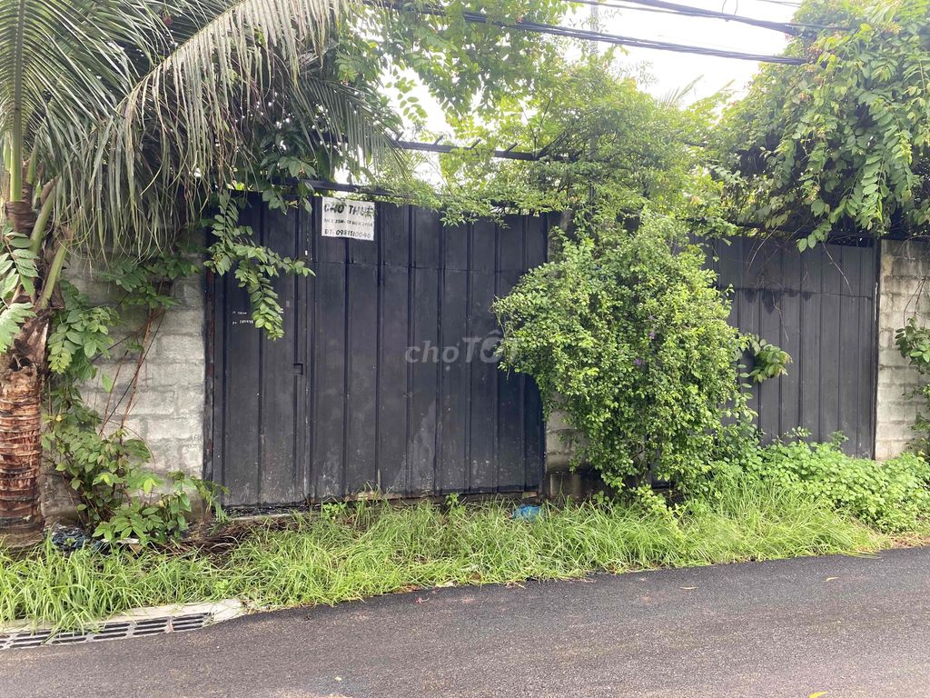 Cho thuê nguyên căn 10m x 35m mặt tiền đường Xóm Hố