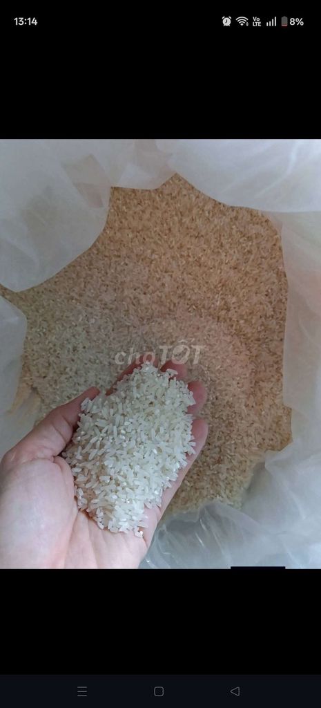 Gạo quê Quảng Nam 10kg. Mua bán Đồ ăn, thực phẩm và các loại khác tại Quận Cẩm Lệ Đà Nẵng được đăng bởi Ny  hình 1