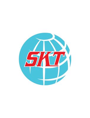 Công Ty SKT Vina