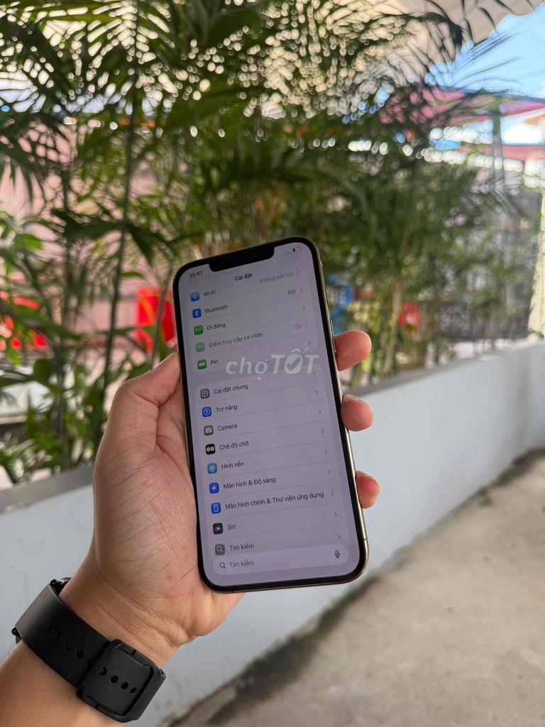 Bán 12Prm Gold 256gb Quốc tế Zin Đẹp ll/a🐵. Mua bán Điện thoại tại Thành phố Vĩnh Long Vĩnh Long được đăng bởi Thái An hình 1